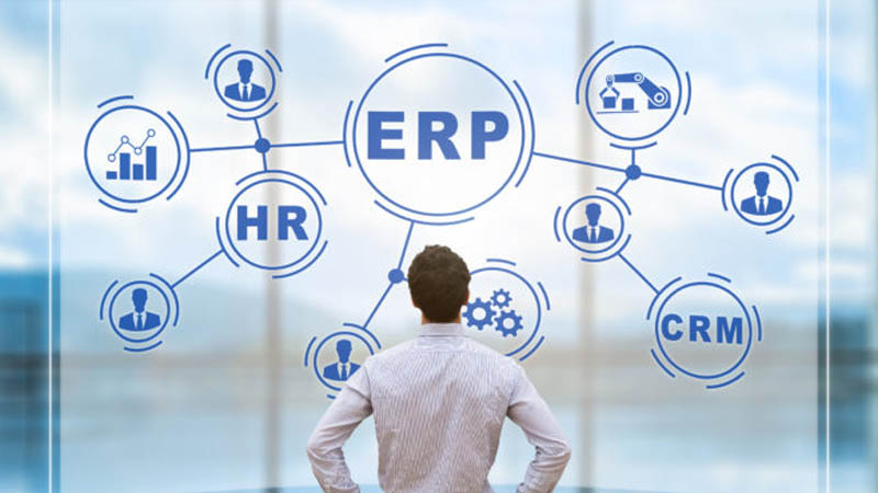 How does an ERP system work in an organization? | Nevas Technologies